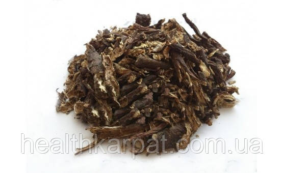 Кульбаба корінь 1кг, фото 1