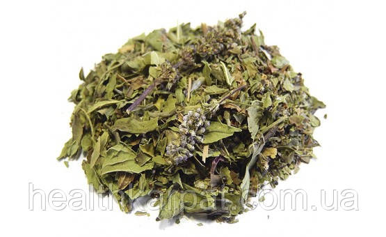 М'ята перцева трава 500 грамм, фото 1