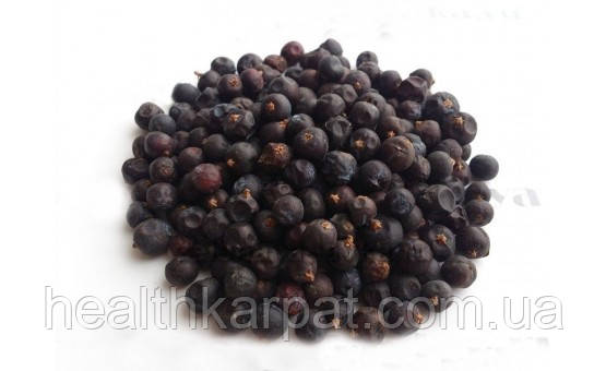 Ялівець плоди 1кг, фото 1