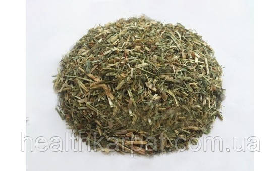 Люцерна трава 50 грамм, фото 1