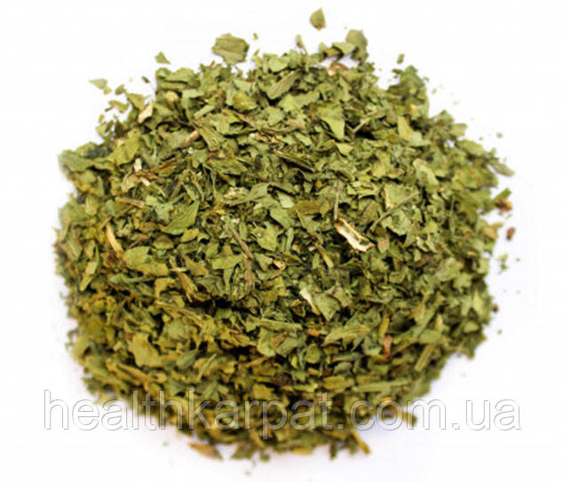 Любисток листя 1 кг, фото 1