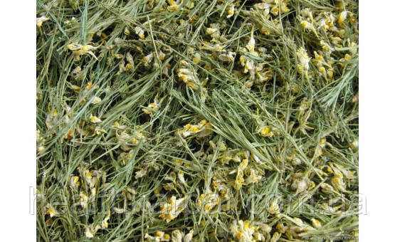 Льнянка звичайна трава 1кг, фото 1