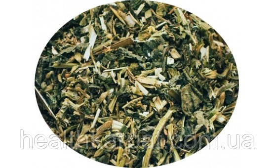 Лофант анісовий трава 1кг, фото 1