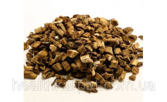 Лопух корінь 1кг, фото 1