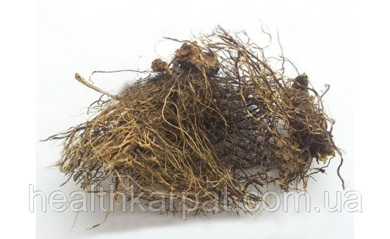 Левзея софлороподібна кореневище 1 кг, фото 1