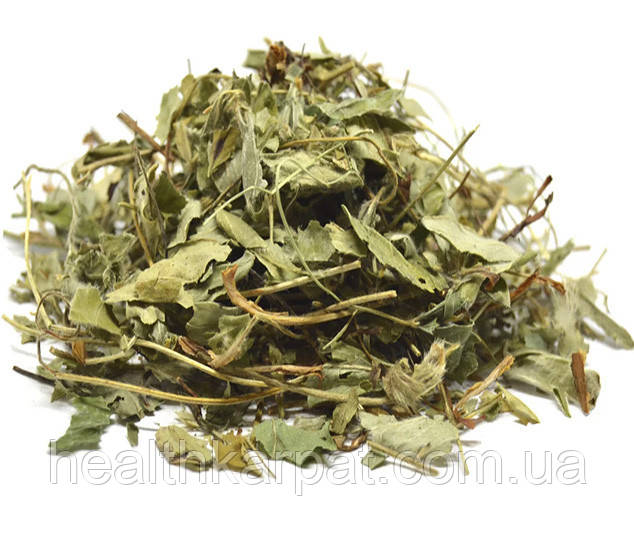 Перстач білий трава 50 грамм, фото 1