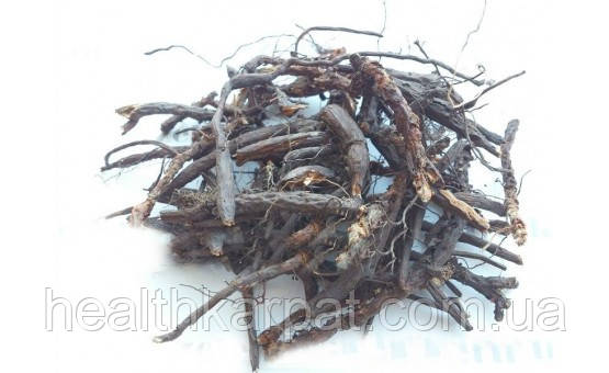 Перстач білий П'ятипал корінь 1 кг, фото 1