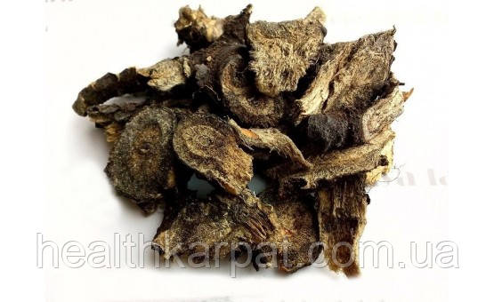 Купена, адамове ребро корінь 50 грамм, фото 1