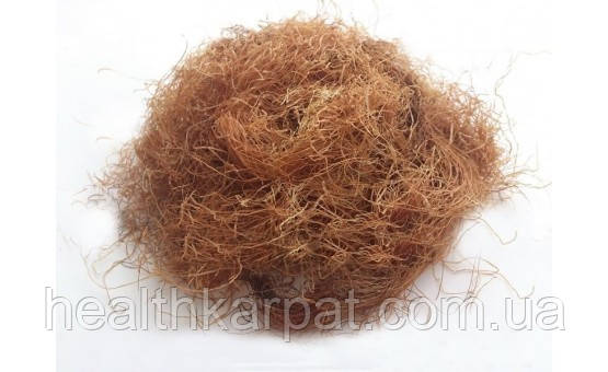 Кукурудзяні рильця 1кг, фото 1