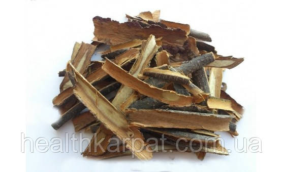 Крушина ламка кора 50 грамм, фото 1