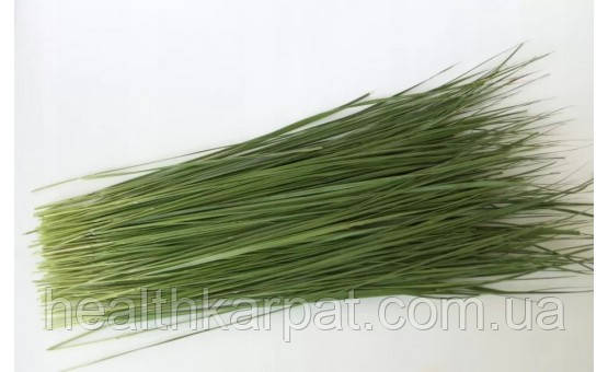 Зубрівка трава 1кг, фото 1