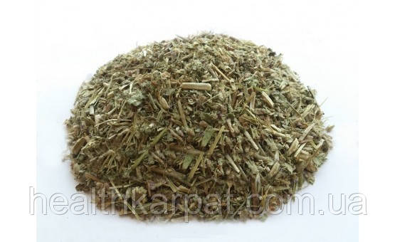 Суниця лісова трава 500 грамм, фото 1