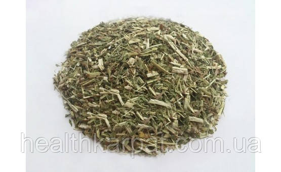 Золотарник трава 50 грамм, фото 1
