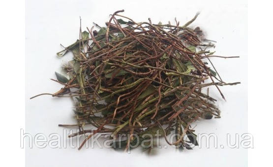 Зимолюбка трава 1 кг, фото 1