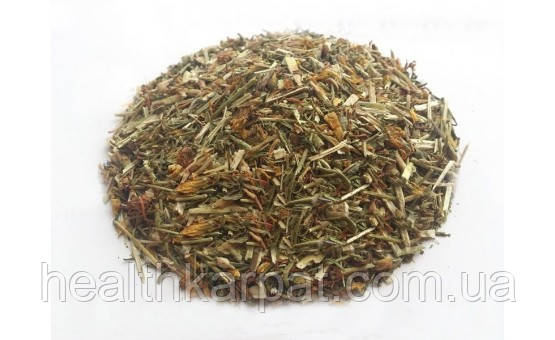 Звіробій трава 500 грамм, фото 1