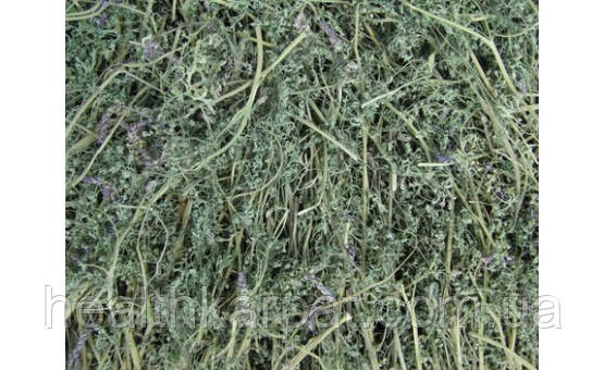 Димянка рутка трава 1 кг, фото 1