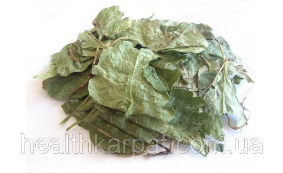 Грушанка трава 500 грамм, фото 1