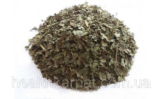 Грецький горіх листя 1кг, фото 1