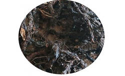 Гравілат річковий корінь 500 грамм