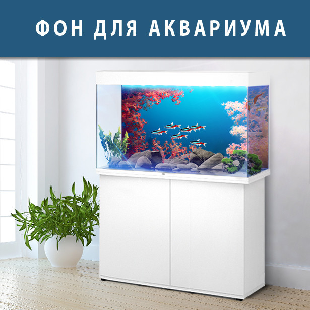 Морское Дно Наклейка в Аквариум 40х65 См. — Купить Недорого на Bigl.ua ...
