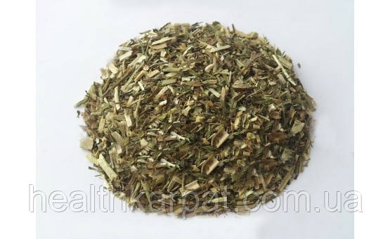 Галега козлятник трава 1кг, фото 1