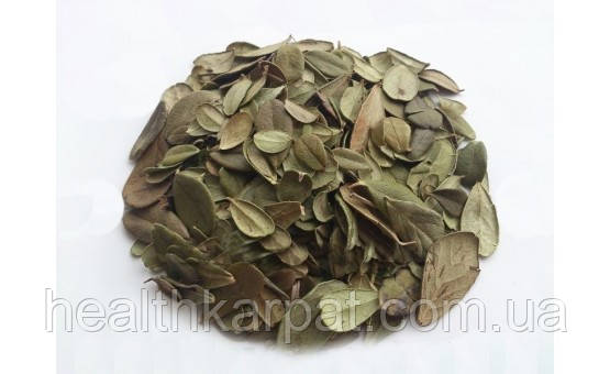 Брусниця листя 500 грамм, фото 1