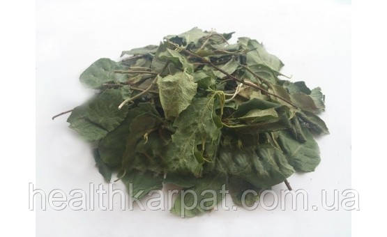 Борова матка трава 1 кг, фото 1