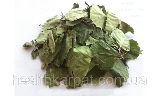 Береза листя 500 грамм, фото 1