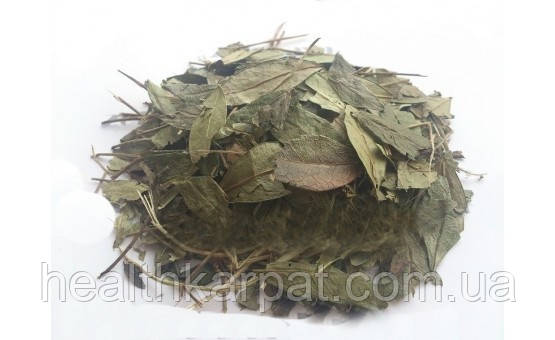 Барвінок трава 50 грамм, фото 1