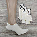 Шкарпетки жіночі короткі весна/осінь молочні р.23-25 ТОП-ТАП чешка 30035205, фото 2