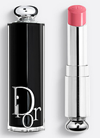 Помада для губ Dior (Диор) Addict Lip Color 373 Rose Celestial