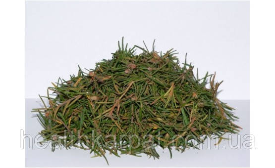 Багно пагони 50 грамм, фото 1