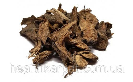 Дягіль корінь 100 грамм, фото 1