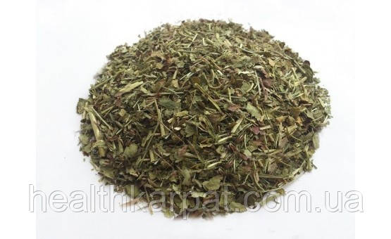Манжетка трава 50 грамм, фото 1