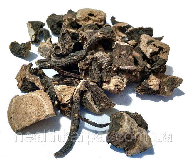 Півонія, що ухиляється корінь 1 кг, фото 1