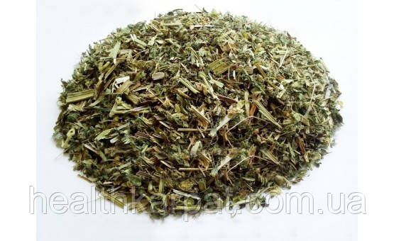 Яснотка біла трава 1кг, фото 1