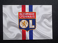 Футбольный магнит на холодильник "Олимпик Лион" (Olympique lyonnais)