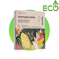 Пророслі зерна у стиках 100 г | Натуральні пророслі зерна Добра Їжа
