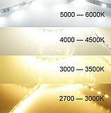 Світлодіодна LED стрічка PROLUM SG 12V-2835-120 тепло біла, негерметична.Котушка, ціна за 1 метр, фото 5