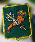 Шеврон на липучці, фото 10