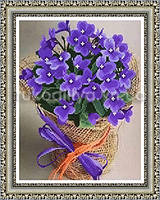 Набір для вишивки бісером Ніжні фіалки СРК-006, Preciosa