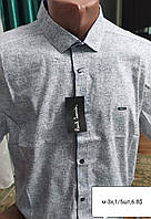 Чоловіча сорочка PaylSemil - короткий рукав