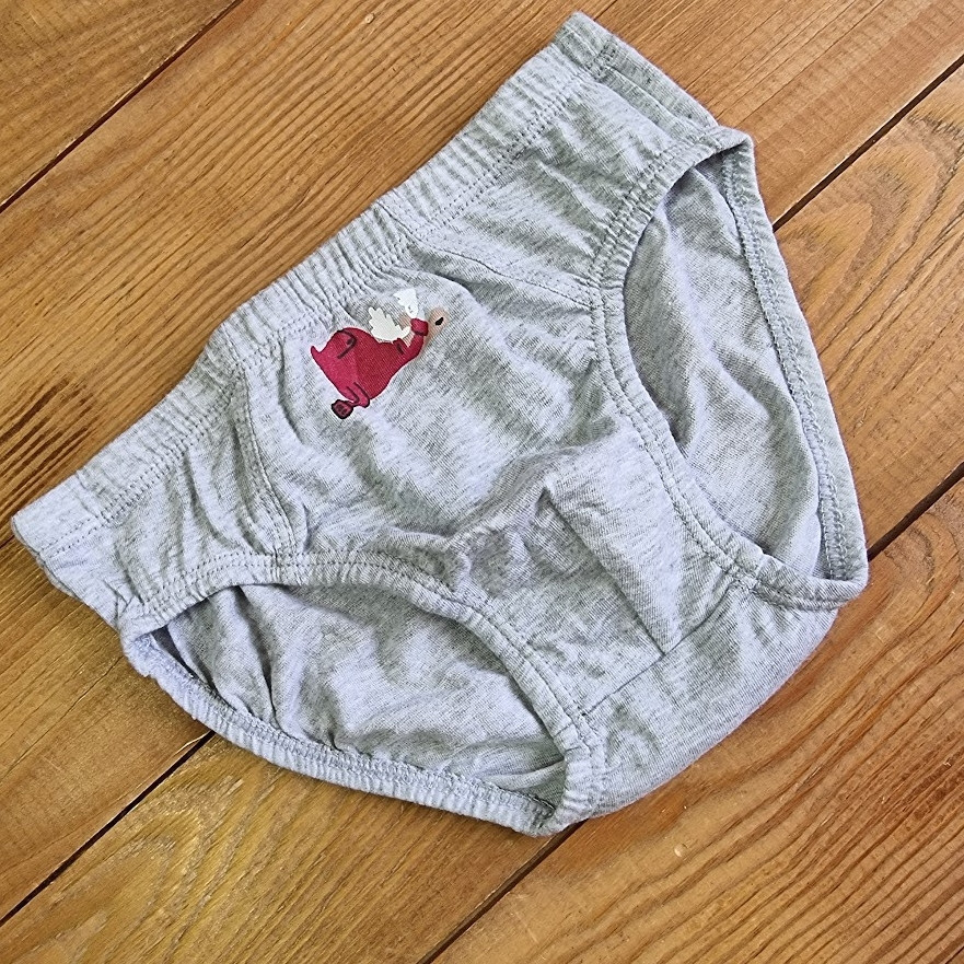 Труси для хлопчика, зріст 110-116, колір світло-сірий