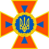 Номерний знак ДСНС тип 13-1 ДСТУ 4278:2019, фото 3