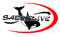 Маски SAEKODIVE