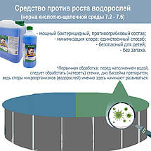 Альгенікс препарат для очищення від водоростей Kerex 80017, 1 л, Угорщина, фото 4