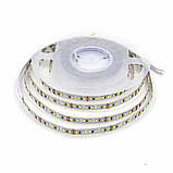 Світлодіодна LED стрічка PROLUM PRO 12V-2835-120 нейтрально біла, негерметична.Котушка, ціна за 1 метр, фото 2