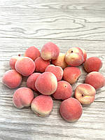 Штучний персик, муляж персика (100 штук), фото 4
