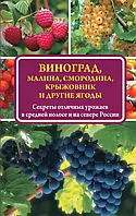 Виноград малина смородина крижівник та інші ягоди