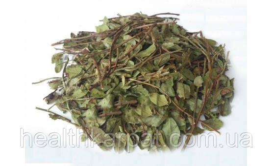 Чорниця втечі 50 грамм, фото 1